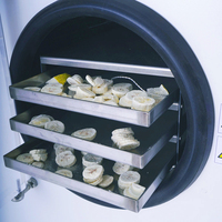 Lyophilisateur automatique pour laboratoire, équipement de séchage, lyophilisateur pour légumes
