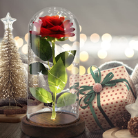 Dekorasi Kamar Mawar Abadi Terawetkan di Kubah Kaca Hari Ibu Hari Valentine Natal Tahun Baru Lapisan Emas 24k Galaksi