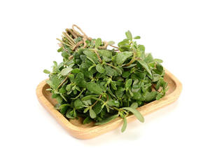 Yüksek kaliteli saf doğal <span class=keywords><strong>Portulaca</strong></span> <span class=keywords><strong>Oleracea</strong></span> özü tozu Purslane - Product Image 2