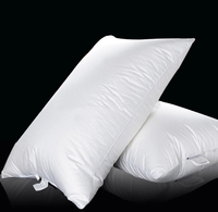 Oreiller en duvet d'oie blanc, poils et plumes d'oie, de dubaï, blanc