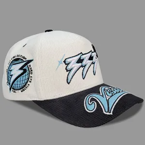 Vintage Tampa Bay Lightning Snapback Hat Corduroy