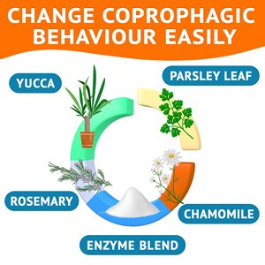 Golosinas para Perros OEM/ODM, Masticables para Dejar de Comer Excrementos, Enzimas de Perejil/Yuca para Refrescar el Aliento y Apoyar la Digestión (Todas las Razas) - Product Image 3