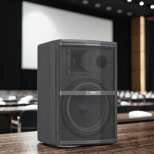 Altoparlanti Professionali per Conferenze a Due Vie, Alta Fedeltà e Sensibilità per Amplificazione Audio Principale e Ausiliaria - Product Image 4