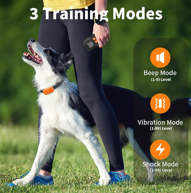 2-in-1 Wireless Outdoor Electric Dog Training Fence Veterinary Instrument | Suzhou Meditech