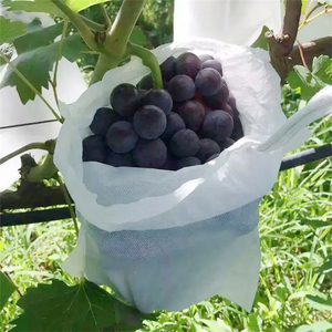 Bolsas de malla para plantas, cubiertas para uvas, bolsas no tejidas contra insectos, plagas y pájaros, estilo granja, marca YUMO, para proteger las frutas y flores de tus plantas - Product Image 2