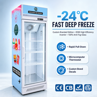 Congélateur vertical à porte vitrée 115V, sans givre, avec contrôle numérique de la température, pour la vente de crèmes glacées à -24°C
