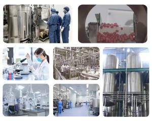 Haoze OEM ashashandha kök takviyeleri KSM 66 özü gıda sınıfı vitamini aktif maddeler şişe ambalajlama - Product Image 4