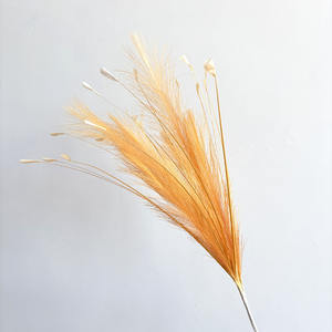 Roseau blanc herbe de paon feux d'artifice aménagement paysager décoration de mariage Arrangements herbe de pampa fleurs artificielles - Product Image 3