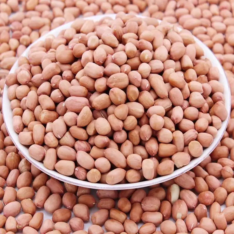 Wholesale sale of high-quality  large and plump raw peanuts