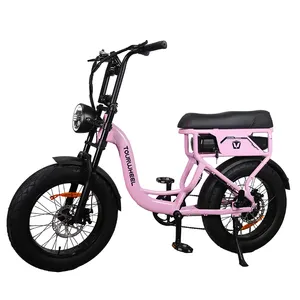 New Design EU Stock Cheap Price High Quality Electric Bike 750W Motor E-bike With Fat Tire Easier For Women
