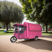 Tricycle de chariot de nourriture de nouvel état à vendre pour l'application de crème glacée à base de soja et de lait d'usine de produits laitiers