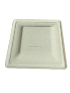 Contenant à charnière en bagasse de canne à sucre biodégradable, bol de vaisselle en amidon de <span class=keywords><strong>paille</strong></span> de blé, jetable et compatible micro-ondes pour l'alimentation - Product Image 6