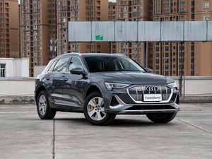 SUV <span class=keywords><strong>E</strong></span>-<span class=keywords><strong>tron</strong></span> de Lujo Totalmente Mantenido con Rieles de Techo de Fábrica, Suspensión Neumática y Techo Panorámico, Entrega a Todos los Puertos Africanos - Product Image 3