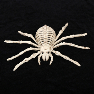 <span class=keywords><strong>Esqueleto</strong></span> realista <span class=keywords><strong>de</strong></span> araña <span class=keywords><strong>de</strong></span> murciélago Animal <span class=keywords><strong>de</strong></span> 9 pulgadas, 10 pulgadas y 11 pulgadas para decoración <span class=keywords><strong>de</strong></span> Halloween - Product Image 6