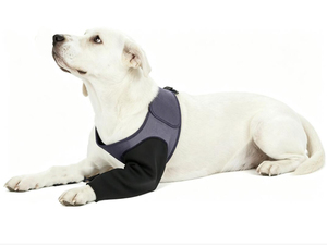 Adjustable <b>Dog</b> Leg Brace Anti-Lick Recovery Sleeves Cone for Front Legs Neoprene <b>Dog</b> Knee Brace Pet Compression Support Wraps - Product Image 1