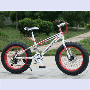 Vélo de montagne Sport 20 pouces avec pneus larges, fourche à suspension, freins à disque pour adultes unisexe - Product Image 2