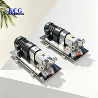 Pompe à rotor en acier inoxydable 304 avec roulement de moteur électrique, utilisée pour le broyage de beurre de cacahuète, la transformation alimentaire et la vinification