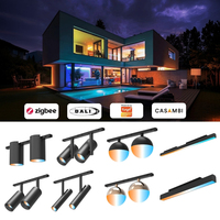 Nouvelle conception de rail lumineux magnétique à double tête, éclairage modulaire flexible, Zigbee Tuya, éclairage magnétique intelligent à intensité variable pour hôtel
