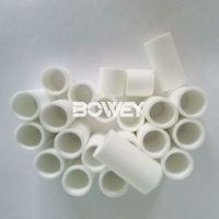 Élément filtrant de séparation de brume d'huile Bowey P3NKA00ESG