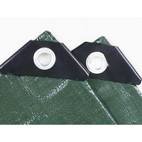 Bâche en PE imperméable personnalisée 20x30 10x10 12x10 20x20, bâche isolante en plastique robuste pour jardin et agriculture