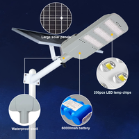 Lampadaires solaires commerciaux extérieurs 100W 150W 200W, éclairage routier LED séparé avec panneau solaire indépendant, IP65, aluminium