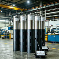 Sondes multiparamètres de qualité de l'eau DS2100 : pH, Turbidité, Oxygène Dissous (OD), Conductivité, ORP, TDS, Température – Capteurs tout-en-un