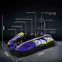 Kart Eléctrico Monoplaza Kupao Dash para Adultos y Adolescentes, Kart de Carreras de 70KM/H