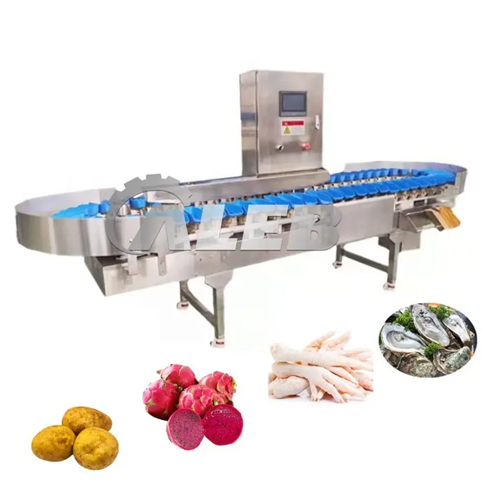 automatic high speed Oysters octopus hairtail dried sea cucumber salt abalone oyster sorting machine