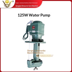 Bomba de Agua Ultrasónica de 125W, Bomba de Agua Especial para Maquinaria de Gemología - Product Image 1