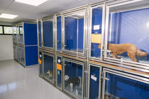 Kandang dan Kandang Anjing Modular dari Baja Anti Karat 304 Heavy-Duty dengan Penutup Kancing, Dapat Ditumpuk & LAINNYA - Product Image 5