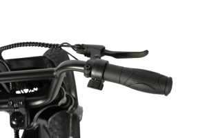 Bicicleta Eléctrica de Montaña en Stock en la UE, Llanta Gruesa de 20 Pulgadas, Motor sin Escobillas de 750W, Freno de Disco Hidráulico, Cuadro de Aluminio, Bicicleta Eléctrica para Adultos - Product Image 4