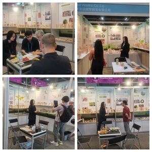 Hot bán nhà máy bán hàng trực tiếp bền phân hủy sinh học birchwood Gậy 30cm barbeque xiên cho cắm trại ngoài trời BBQ - Product Image 6