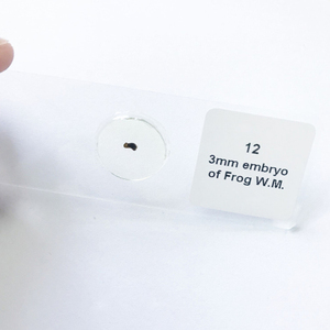 15pcs ếch phôi chuẩn bị kính hiển vi Slide trong hộp nhựa cho nghiên cứu khoa học - Product Image 6