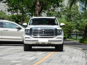 Cina nuovo modello di vendita calda 2024 grande parete serbatoio 700 Hi-4-T PHEV nuovo veicolo di energia serbatoio 300 serbatoio <span class=keywords><strong>500</strong></span> 700 Hi4 T nuovo veicolo di energia - Product Image 2