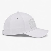 Casquette de baseball personnalisée en PVC 3D imperméable, 6 panneaux, tissu en maille structurée, unisexe, pour sports de plein air, motif feuille ethnique