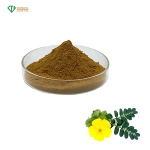 Planta del extracto <span class=keywords><strong>tribulus</strong></span> terrestri Extracto de <span class=keywords><strong>95</strong></span> <span class=keywords><strong>tribulus</strong></span> <span class=keywords><strong>terrestris</strong></span> <span class=keywords><strong>95</strong></span> <span class=keywords><strong>saponinas</strong></span> <span class=keywords><strong>tribulus</strong></span> <span class=keywords><strong>terrestris</strong></span> en polvo - Product Image 4