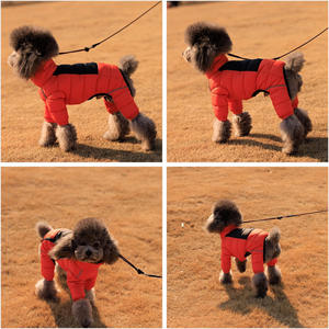 Neue Haustier kleidung Warme umwelt freundliche Klassiker Solid Dog Winter Wind dichte kälte feste Baumwoll jacke - Product Image 3