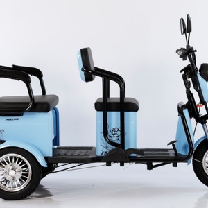 Triciclo Eléctrico al por Mayor para Tres Personas, Bicicleta Eléctrica de 48v 600w y 3 Ruedas - Product Image 3