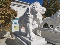 Décoration de jardin extérieur personnalisée sculpture sur pierre art animalier sculpture en marbre blanc statues de lion en granit à vendre