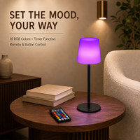 Lampe de table LED RGB personnalisée CoolQing en gros, 16 couleurs, rechargeable, étanche IP65, en alliage d'aluminium, coque en PE, chargement Type-C