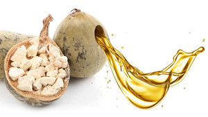 Huile essentielle de <span class=keywords><strong>baobab</strong></span> africain 100% pure, huile de <span class=keywords><strong>baobab</strong></span> brute pressée à froid pour les cheveux, le savon, les bougies, les massages, les soins de la peau, les parfums, les cosmétiques - Product Image 6