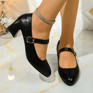 Pointed Toe Thick Heel Professional Flats Plus Size Autumn New Shallow Mouth Flats for Women - Product Image 3