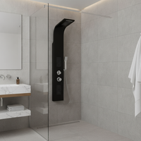 Ensemble de douche pour salle de bain, panneau en aluminium noir mat, système de panneau de douche