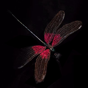 Cơ khí chuồn chuồn 3D Tự làm côn trùng mô hình lắp ráp kim loại đồ chơi trang trí sáng tạo - Product Image 1