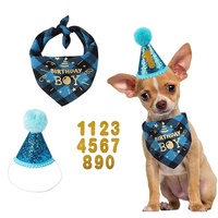 Ensemble de décoration d'anniversaire de luxe en coton Zoyi pour animaux de compagnie, pour chats et chiens, toutes saisons, bavoir et accessoires de chapeau