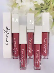 Groothandel Oem Make Vegan Lipgloss Set Private Label Matte Lippenstift Set Lippenstift Met Logo Vloeibare Lipstick 25 Kleuren