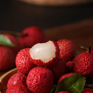 육즙 달콤한 중국 열매 리치 리치 리치 신선한 과일 공장 (얼음 열매)