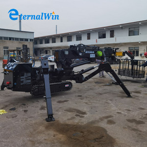 3T 5T בום טלסקופי מיני זחל ספיידר מנוף למכירה - Product Image 6