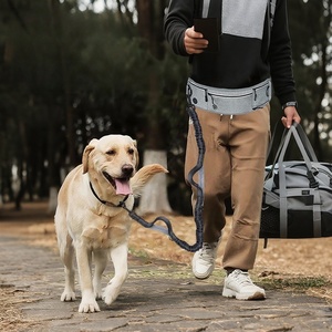 Tali Anjing Bebas Genggam yang Dapat Disesuaikan, Desain Sabuk Pinggang Nylon yang Tahan Lama dengan Strip Reflektif, Tali Hewan Peliharaan untuk Berjalan dan Berlari di Luar Ruangan - Product Image 6