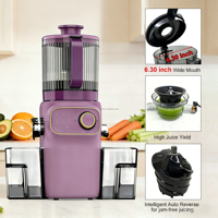 Rainbow Series 350W DC Juicer Mini Tenang Bertenaga DC |   6.30" Lubang Masukan Besar dengan Kontrol Tombol, Hasil Jus Tinggi, Pembersihan Otomatis, Smoothie